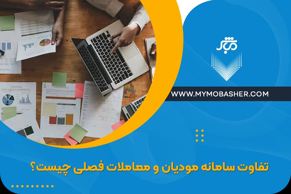 what-is-the-difference-between-the-tax-system-and-seasonal-transactions.webp