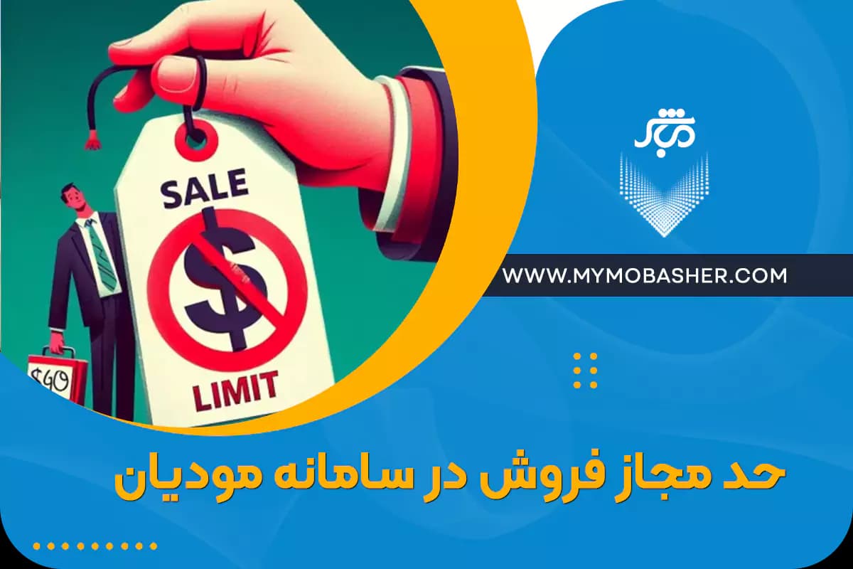 sales-limit-in-the-taxpayer-system.webp