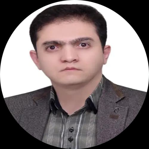 تصویر بهاءالدین محمدی