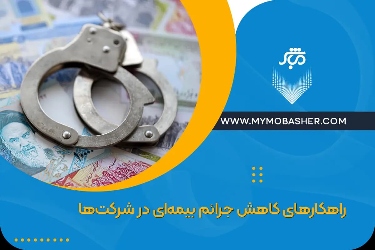 solutions-reduce-insurance-crimes.webp