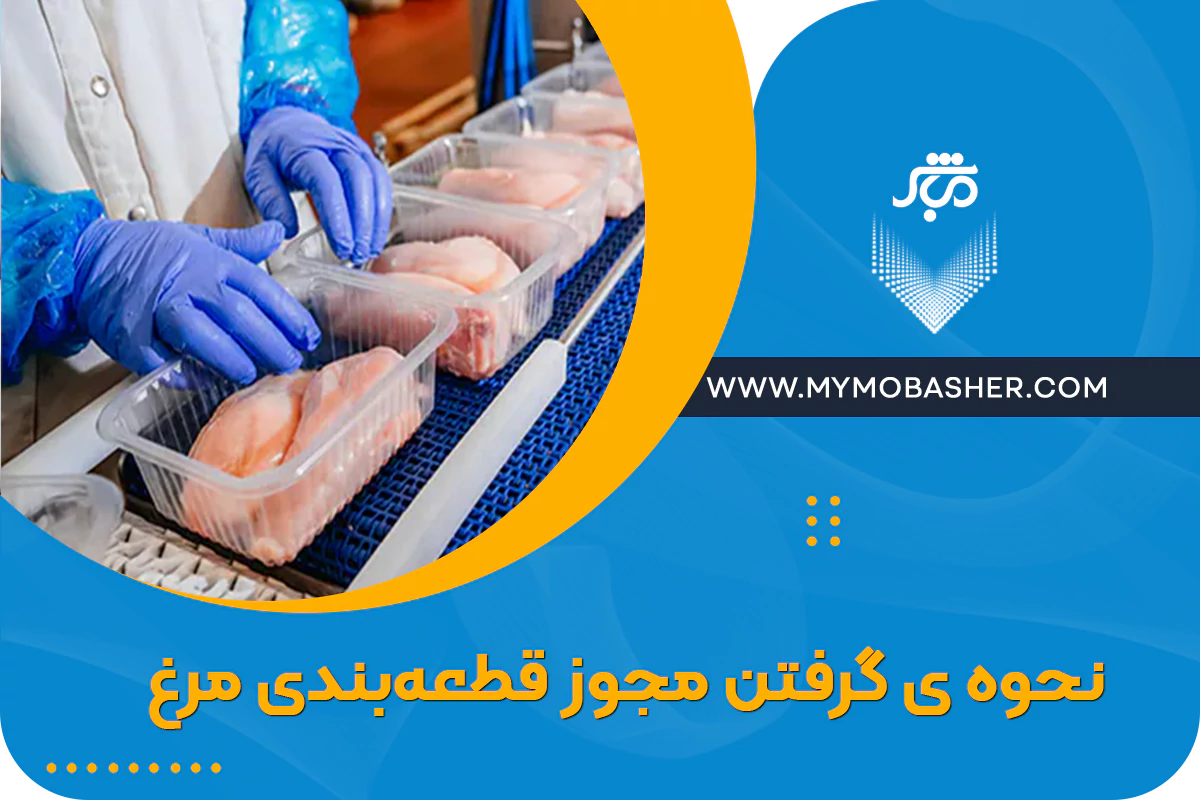 مباشر.